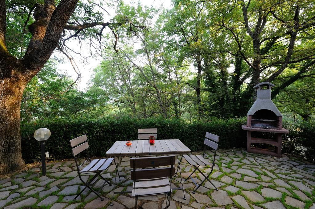 Agriturismo Borgo Nuovo Di Mulinelli Arezzo Exterior photo